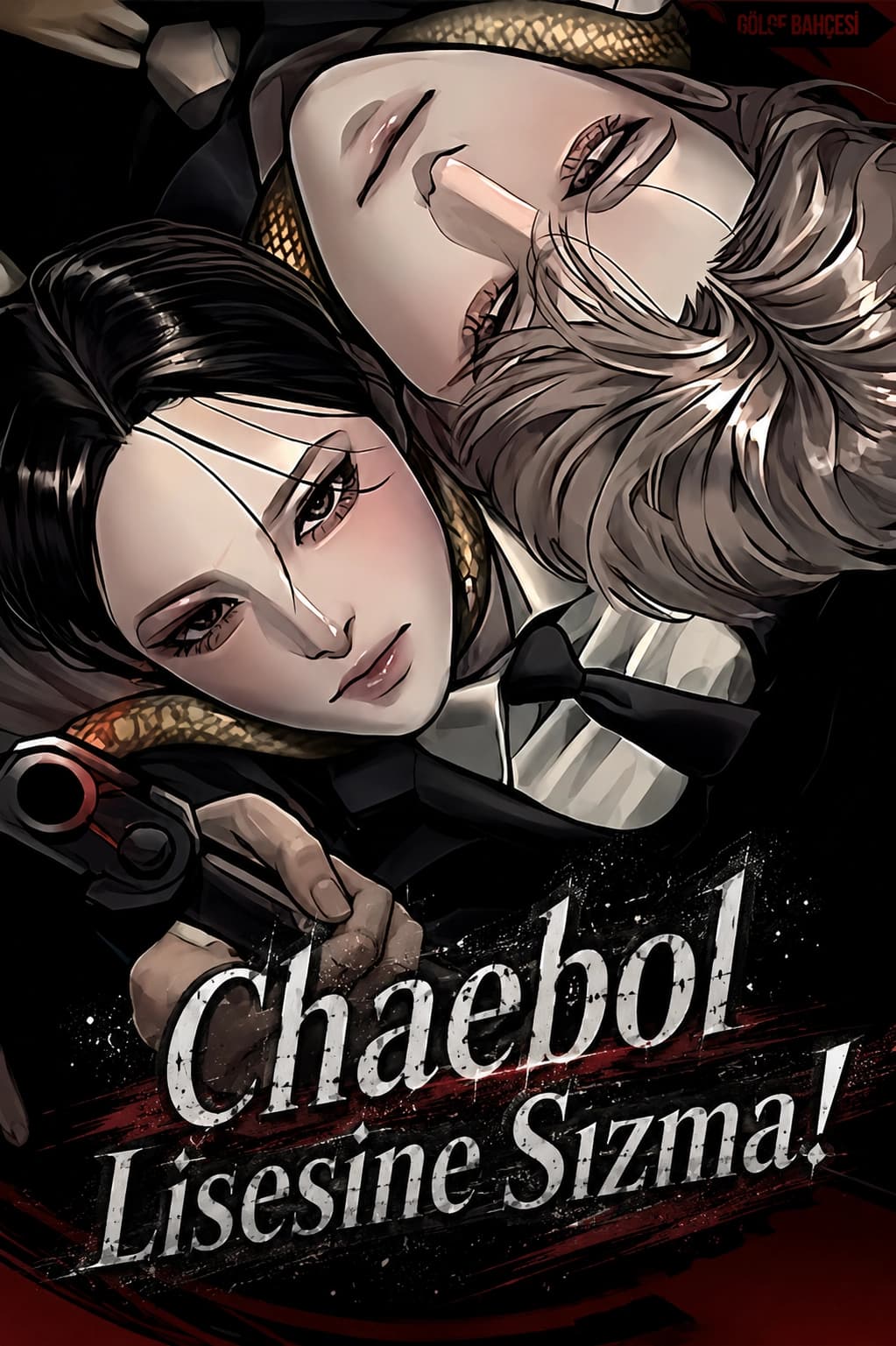 Chaebol Lisesine Sızma!