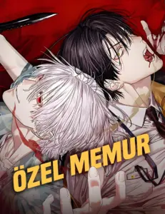 Özel Memur
